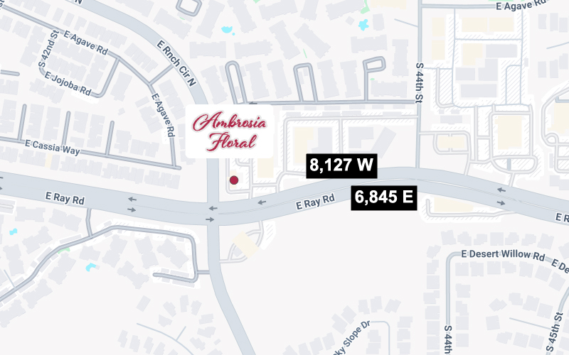 map of traffic counts on Ray Road